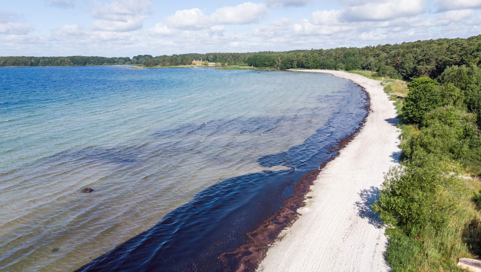 Torsö V.