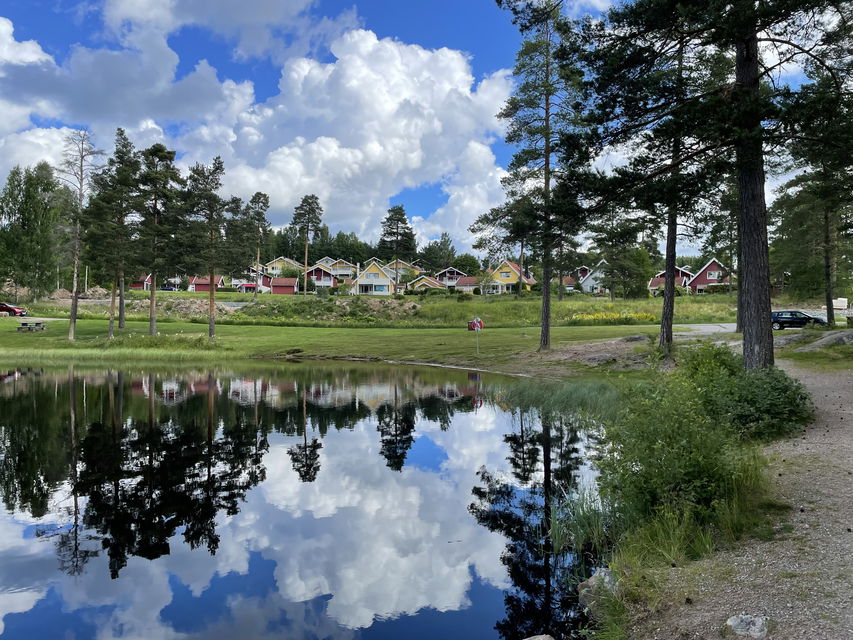 Dammyran