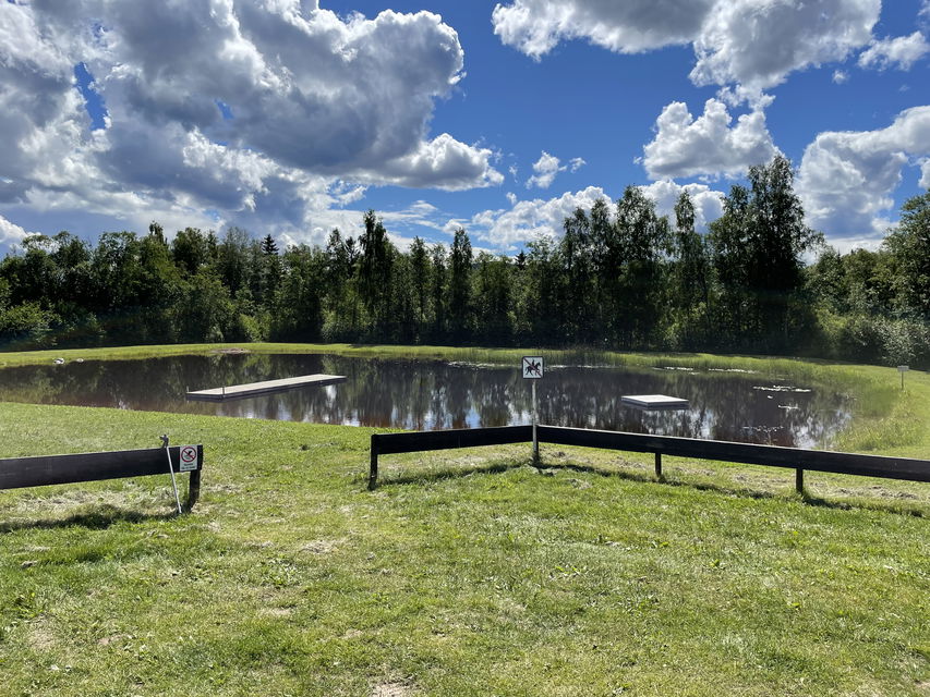 Sjömyran