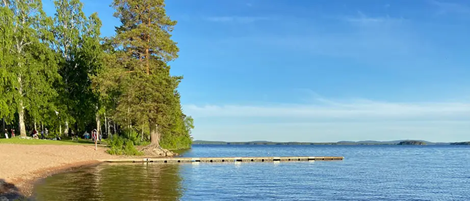 Roxnäs,Falun