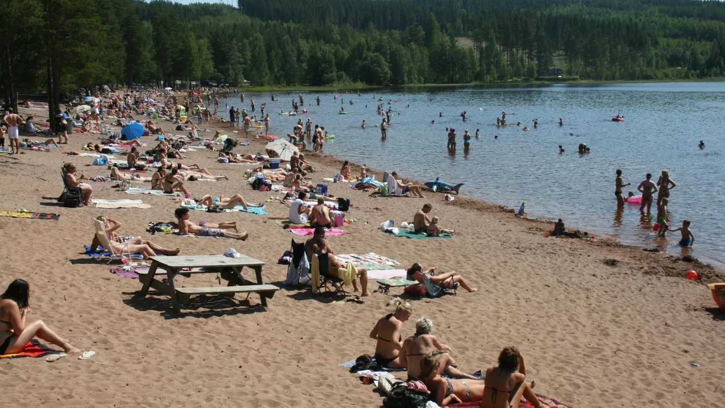 Solvarbo, Dammsjön