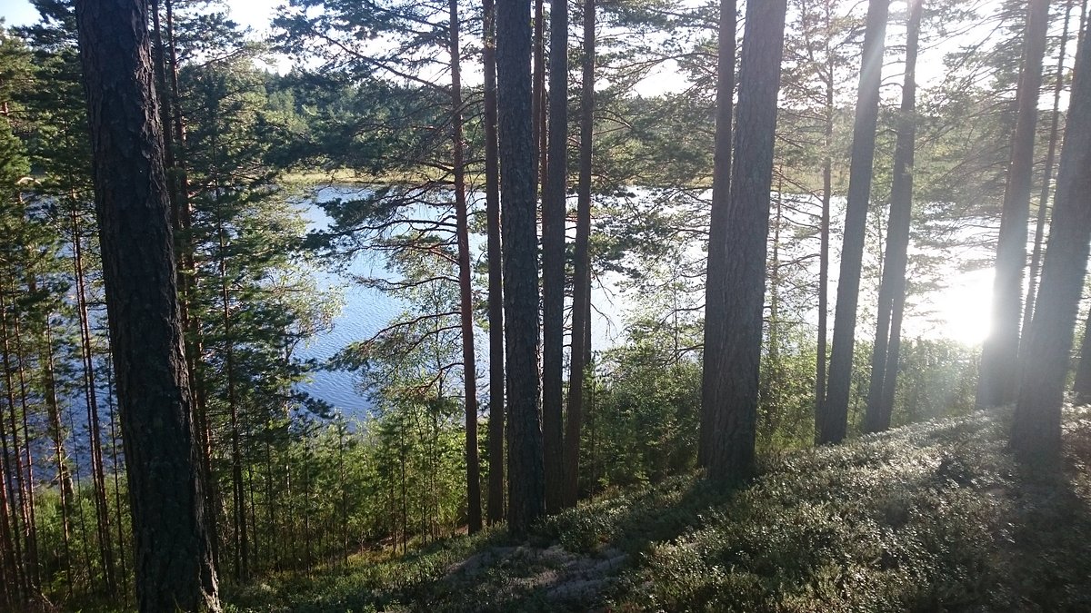 Glatjärns badplats