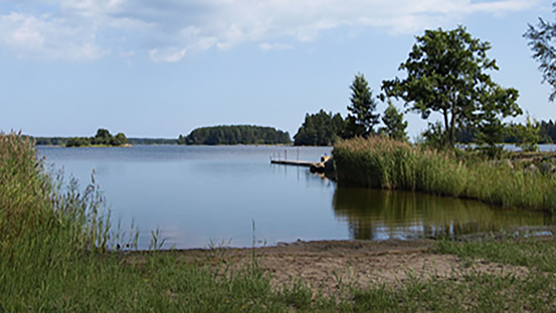 Hillevik