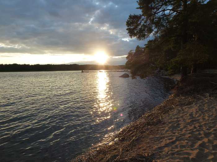 Testeboån, Forsby