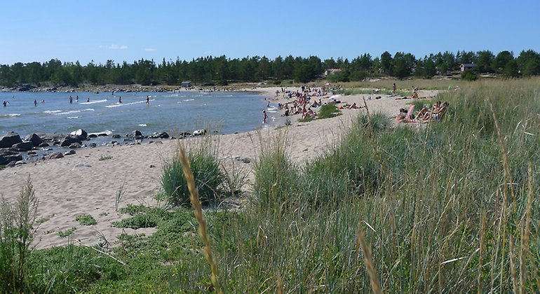 Torsved -Testeboån