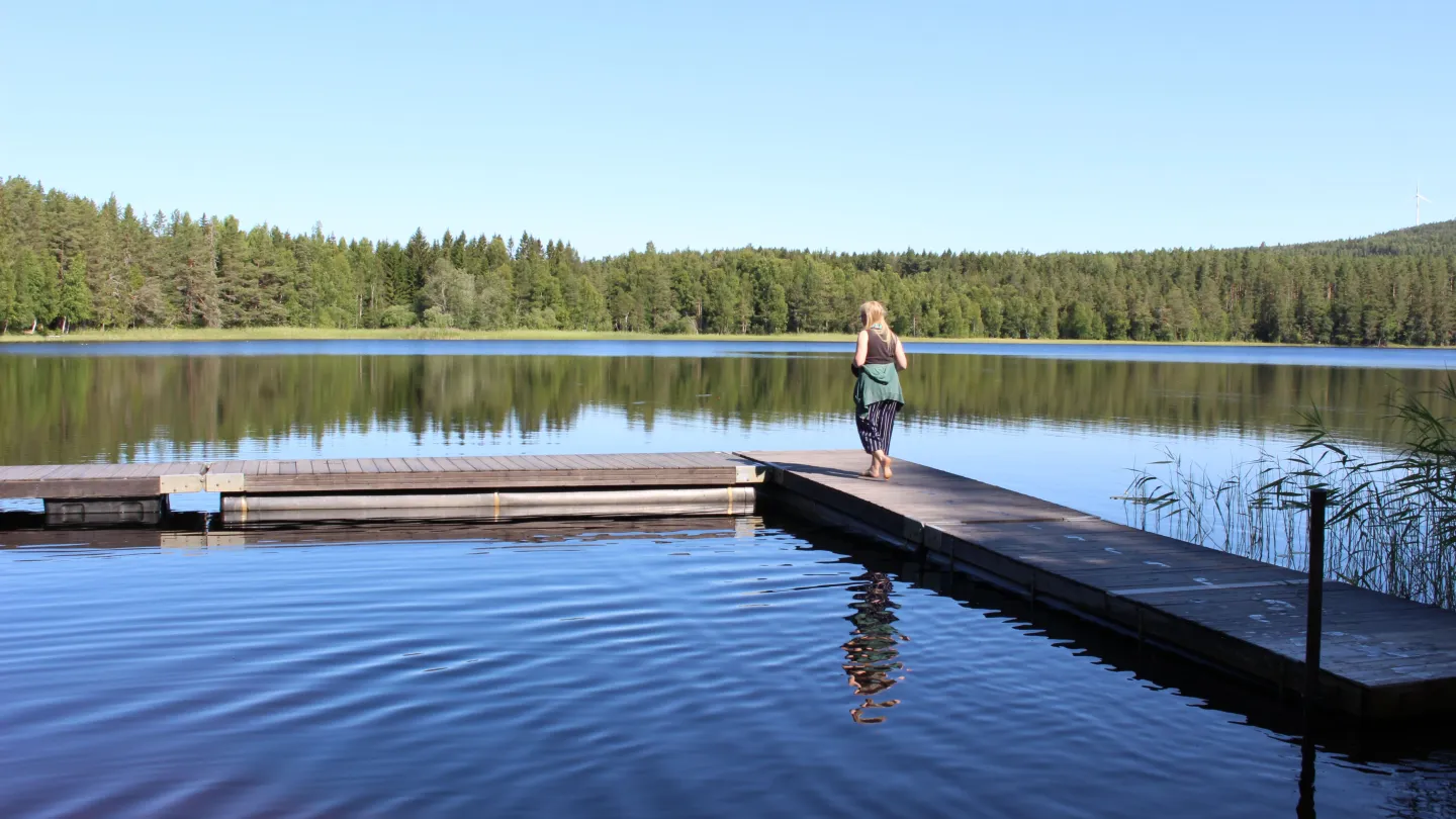 Barrtjärn, Älgered