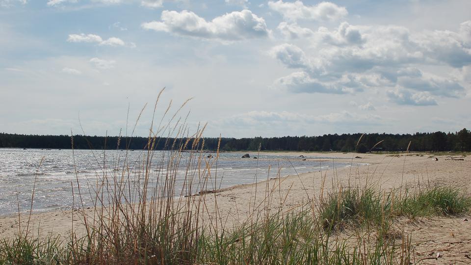 Sörfjärden