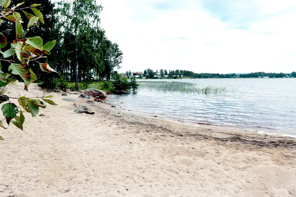 Wijdammen
