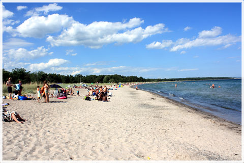 Ljugarn