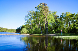 Ljungsjön