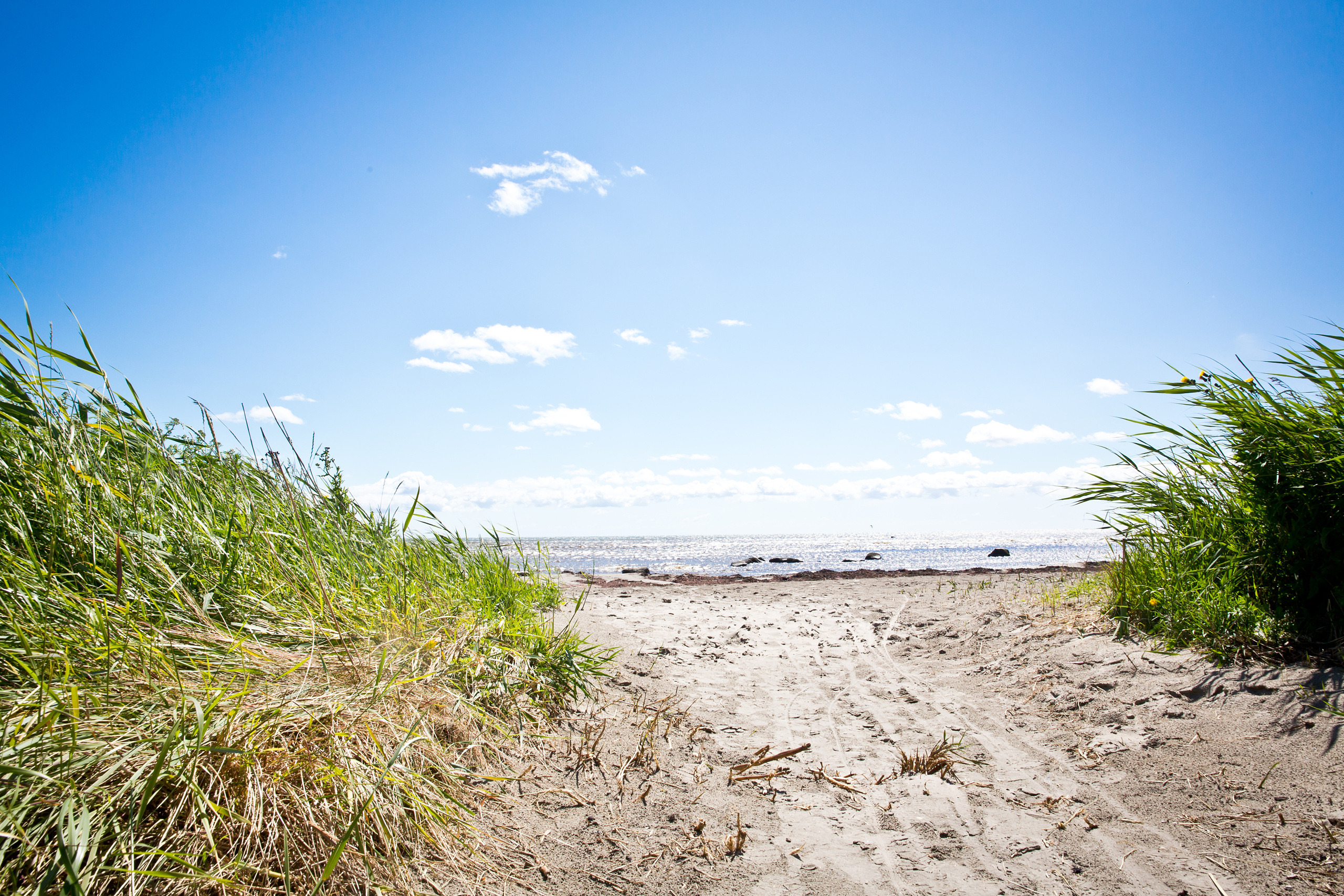 Stafsinge S stranden
