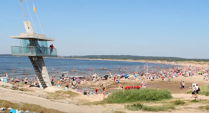 Ringenäs