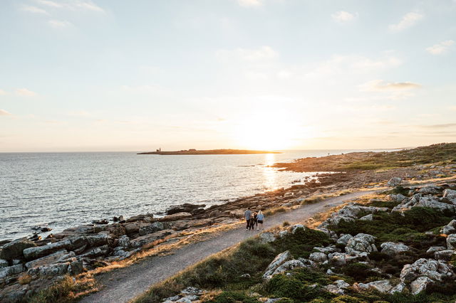 Tostarpasjön