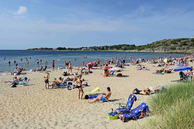 Krokvik