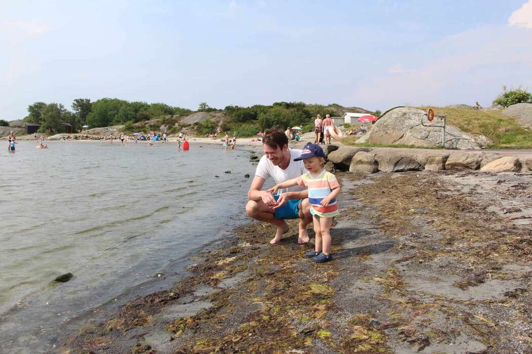 Smarholmen