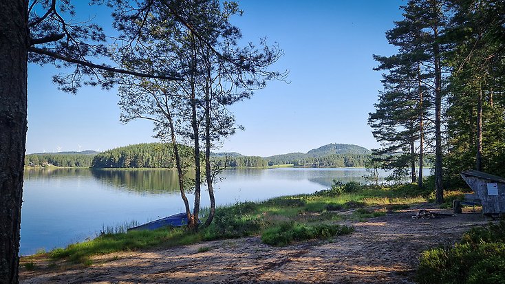 Sjöarpssjön