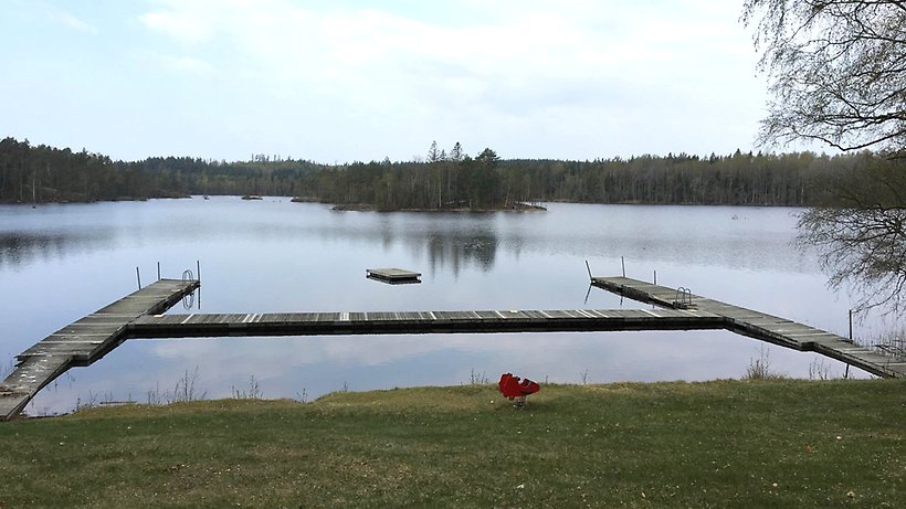 Svinasjön