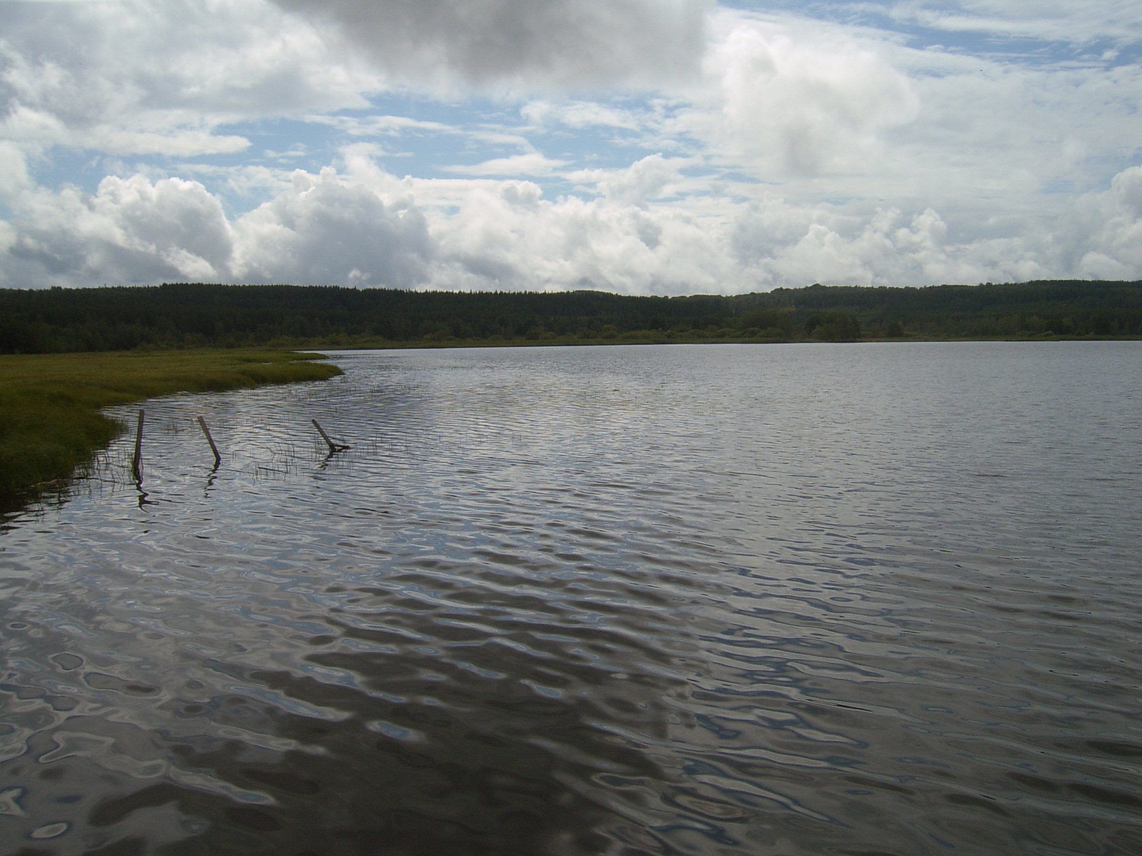 Järnsjön, Järnforsen