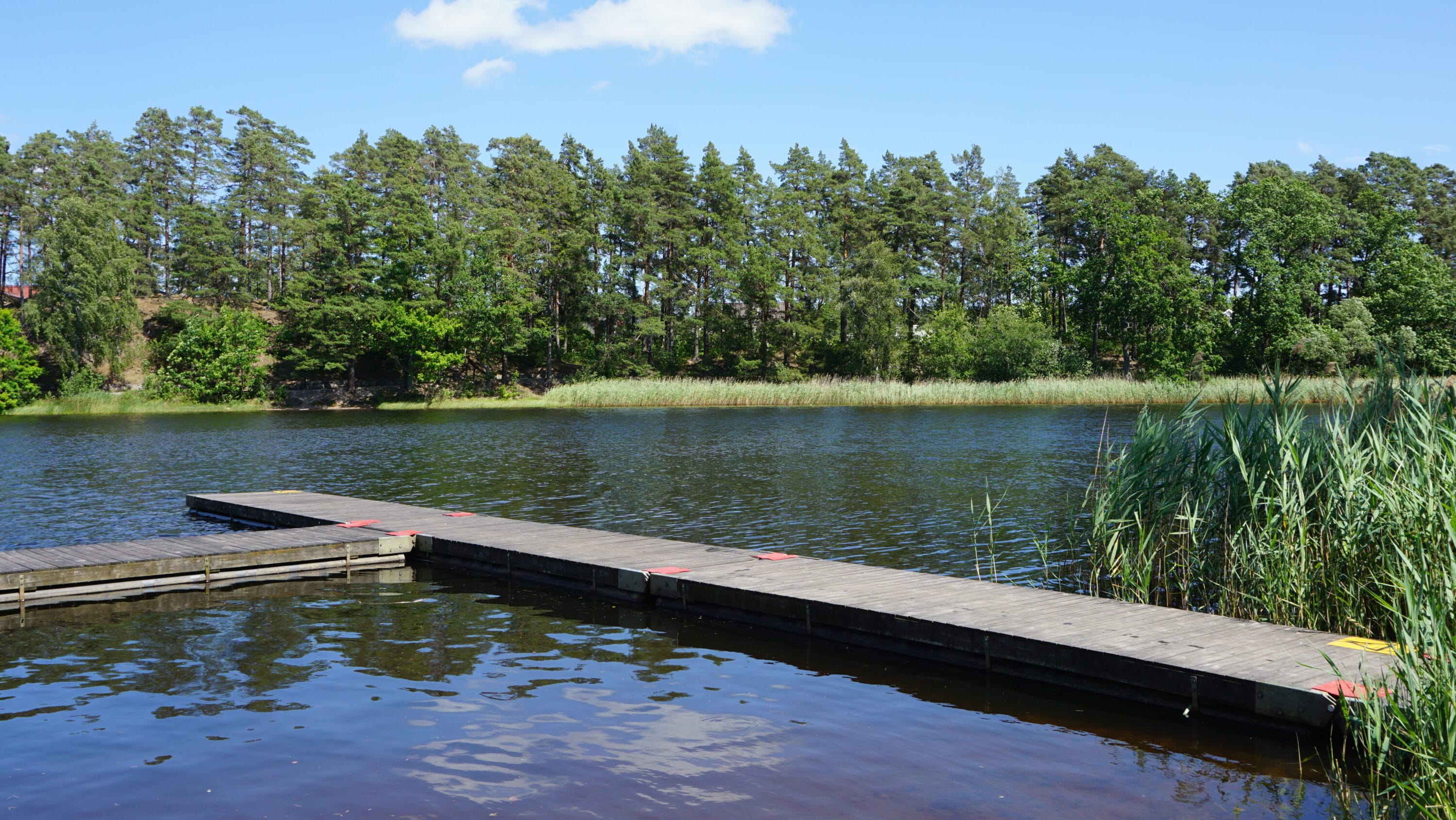Linneasjön, Campingen