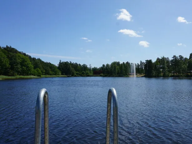 Linneasjön, Strandvägen