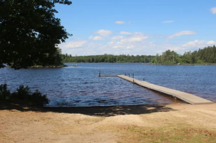 Näset
