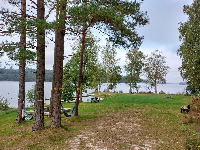 Asasjön, Grönalund (Tolg)