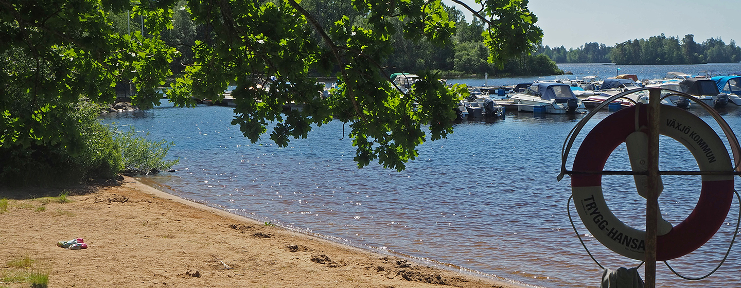 Helgasjön, Araby