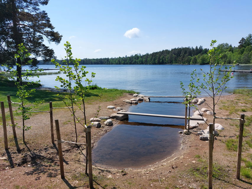 Innaren, Rottne