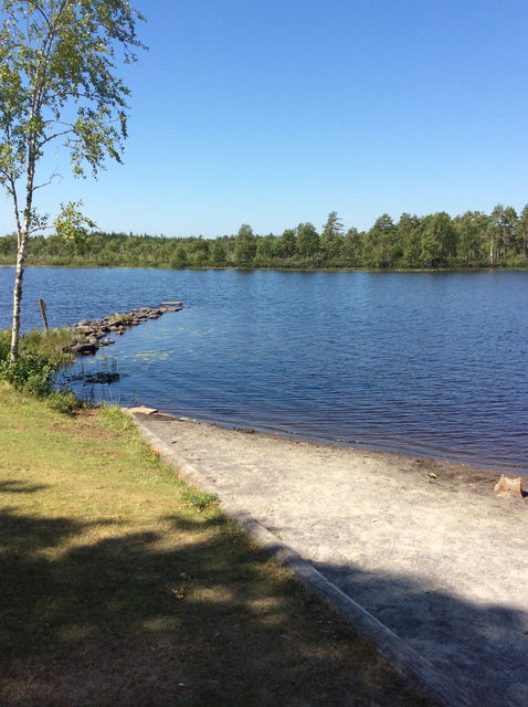 Linnebjörkesjön, Näsby