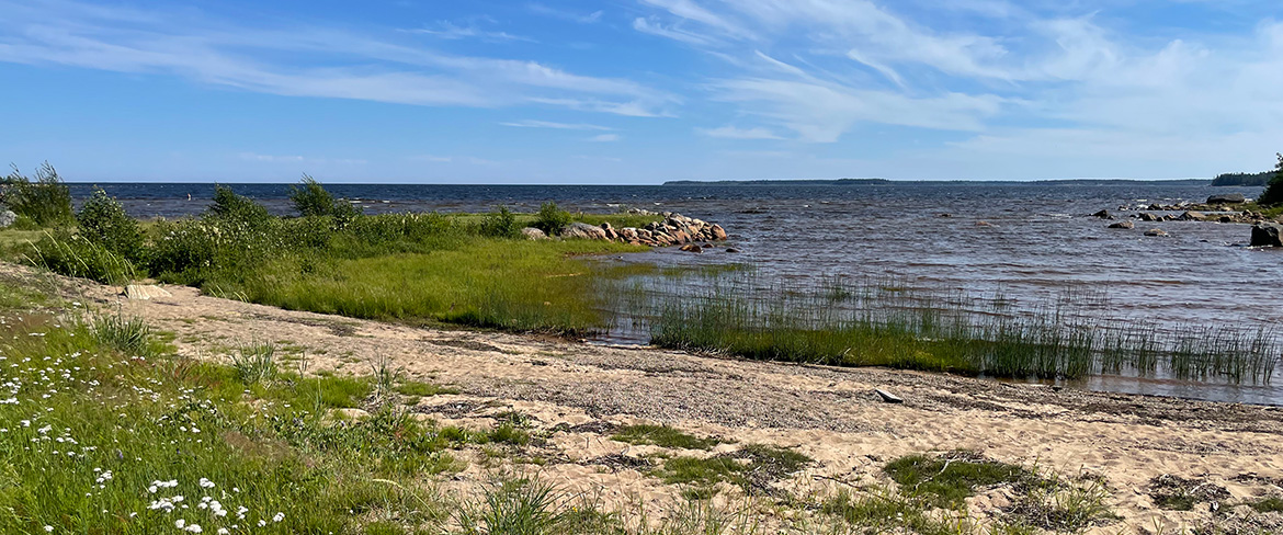 Bunäsviken, Jävre