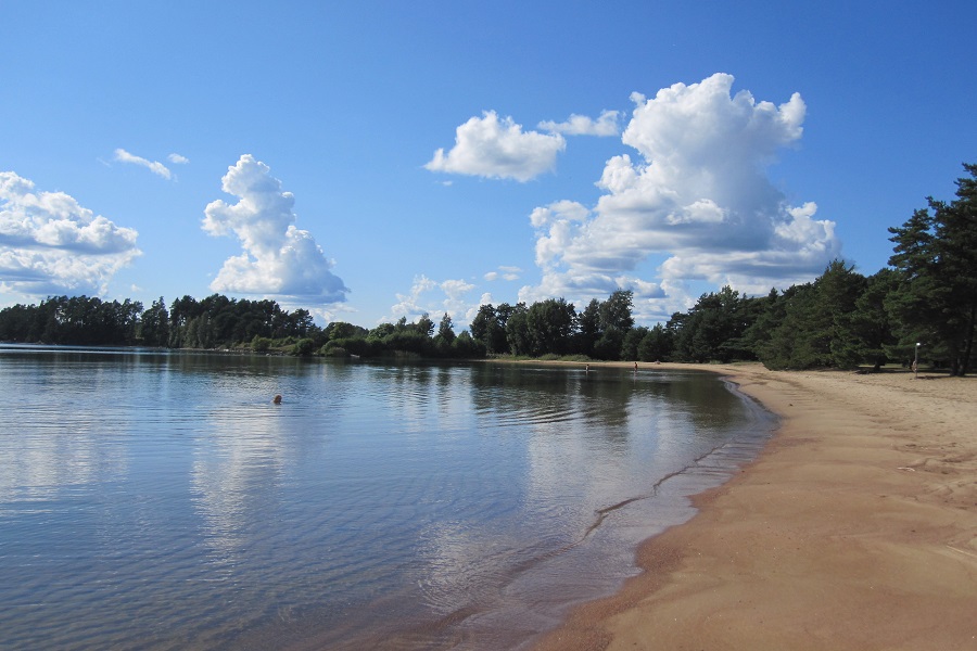 Veden