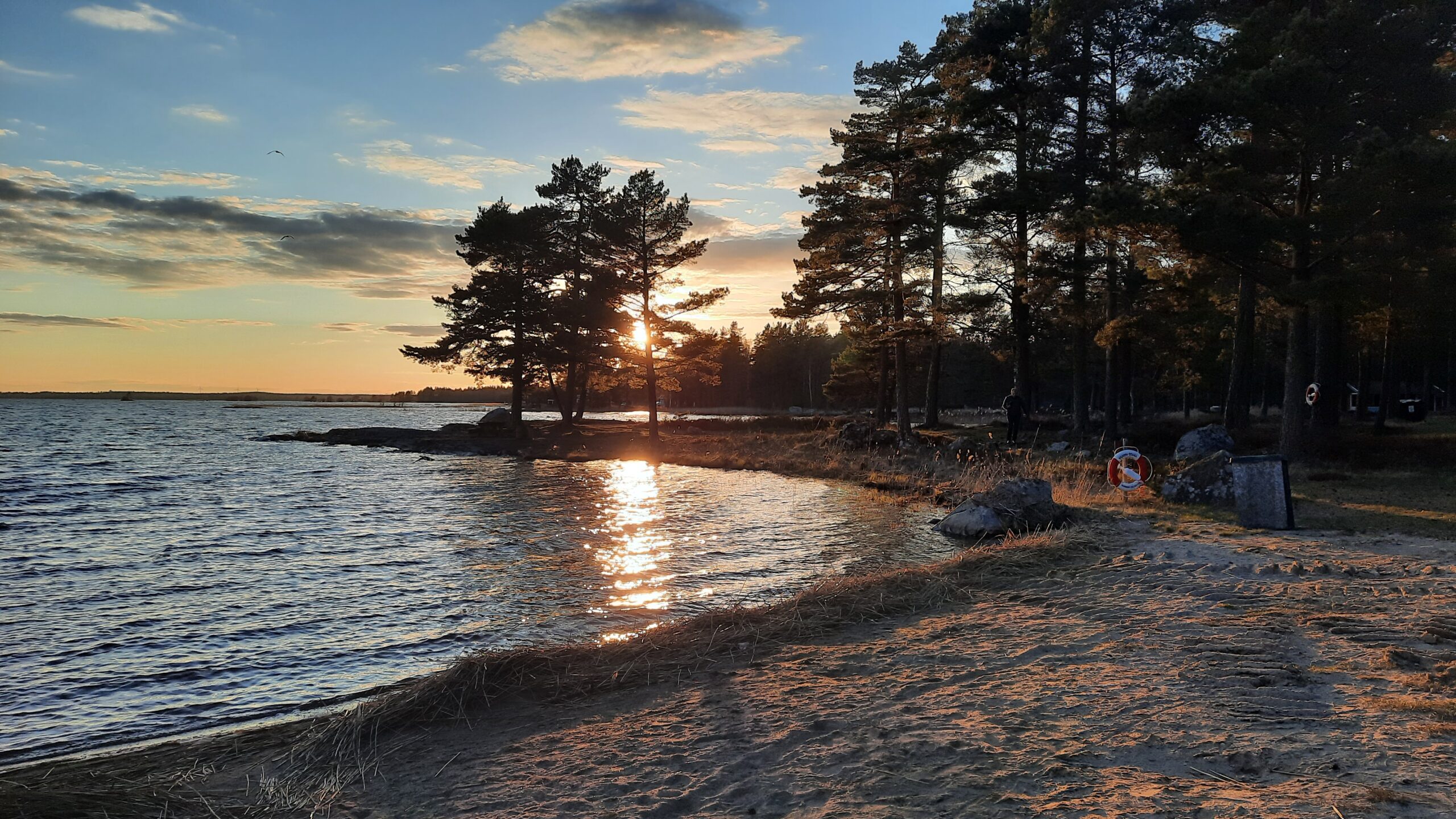 Tisarstrand, Campingen