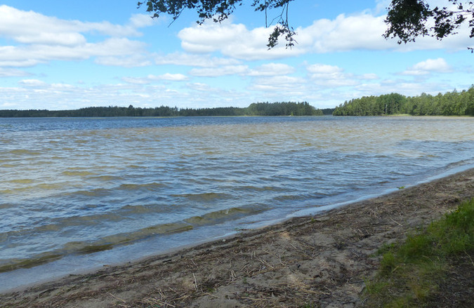 Älgsjön, Grytgöl
