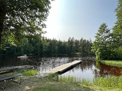 Dammen, Grytgöl