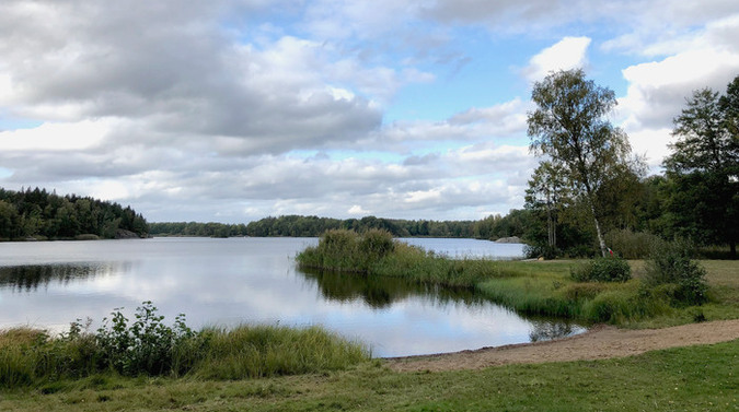 Mäseln