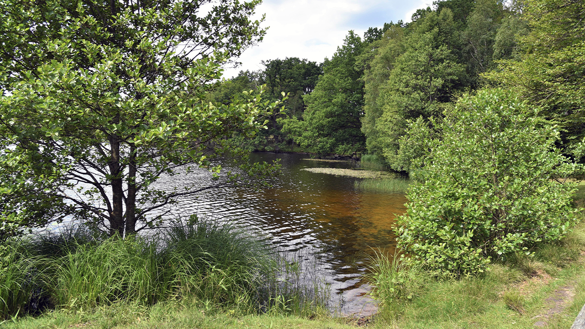 Dagstorpssjön Västra