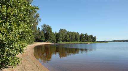 Vadjungen, Oset